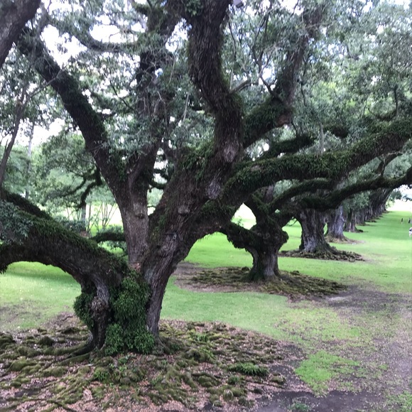 Meet your Posher, Shay - Picture 1 of 1